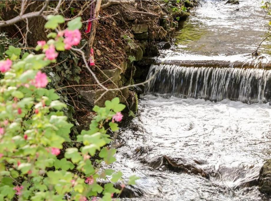 Babbling Brook Cottage Stony Middleton المظهر الخارجي الصورة